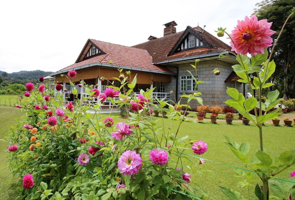 Bukit Lowick Bungalow Tanah Rata Buitenkant foto